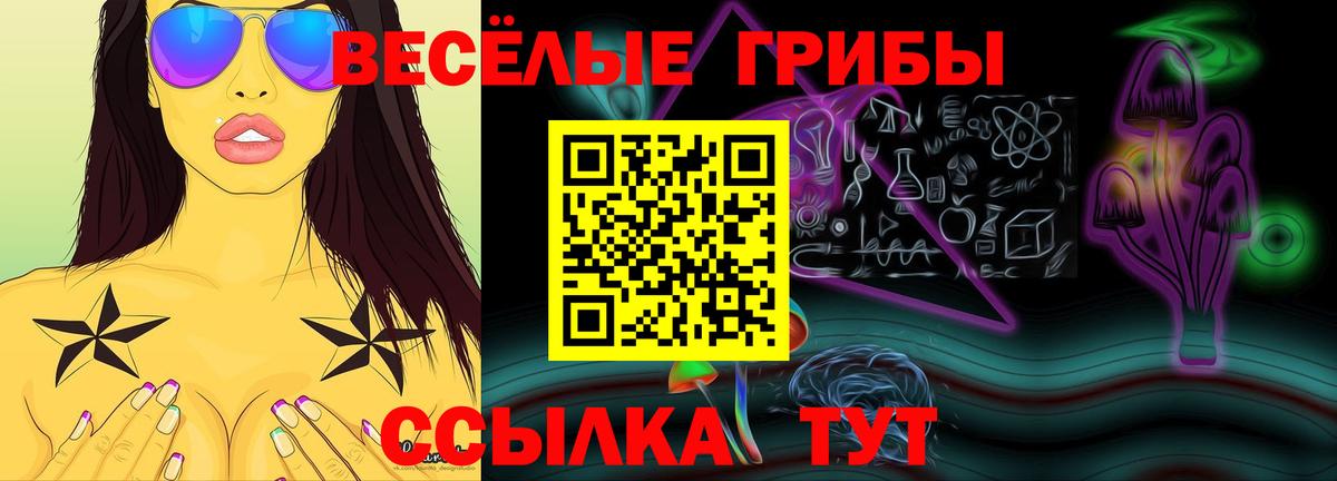 Псилоцибиновые грибы мицелий  Псилоцибиновые грибы ЛСД  Вход с VPN  Орехово-Зуево 