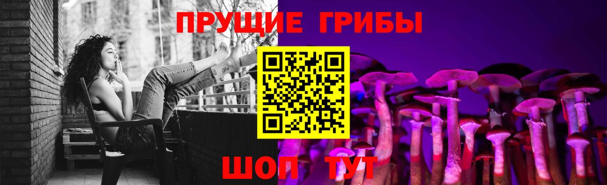 Галлюциногенные грибы GOLDEN TEACHER Орехово-Зуево